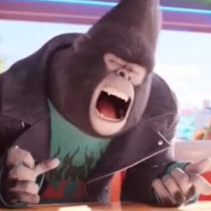 Meet your Posher, Isabella